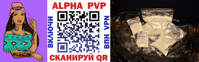 A PVP СК КРИС  Старая Русса 