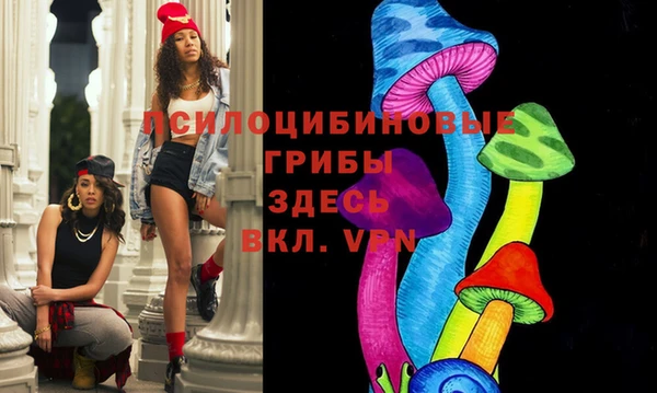 бошки Абаза