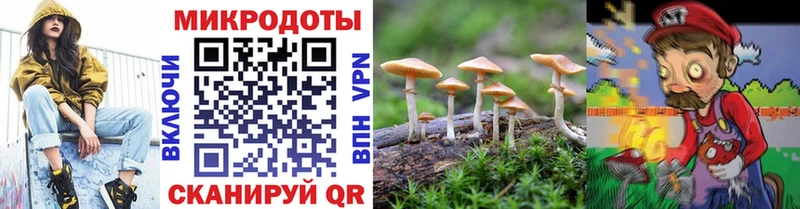 где продают   Старая Русса  Галлюциногенные грибы прущие грибы 