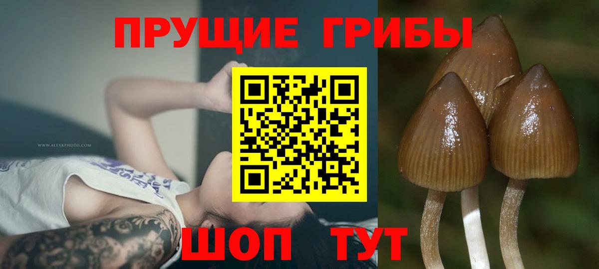 Галлюциногенные грибы мицелий  Вход с VPN  Старая Русса 