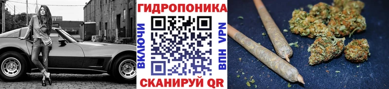 Шишки марихуана конопля Старая Русса